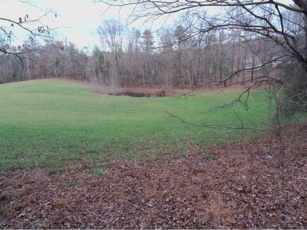 -tbd Anest Road Afton, TN 37616 - Photo 1 of 7 Photo 1