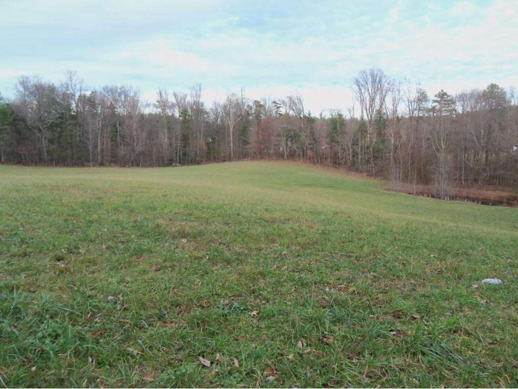-tbd Anest Road Afton, TN 37616 - Photo 3 of 7 Photo 3