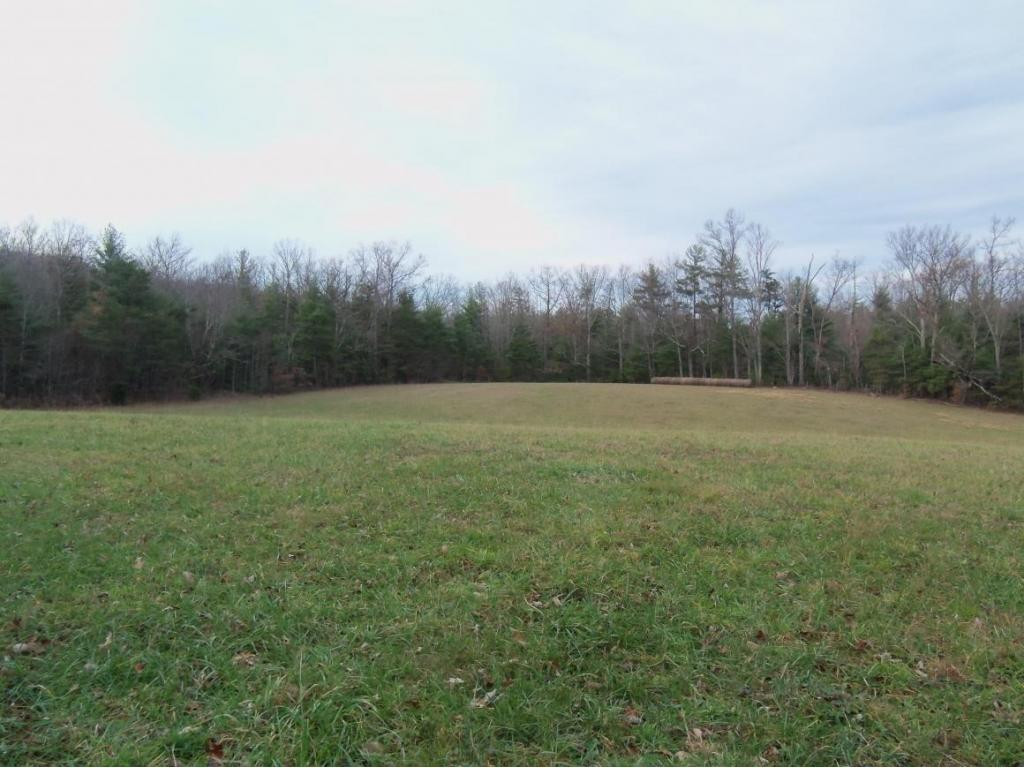 -tbd Anest Road Afton, TN 37616 - Photo 4 of 7 Photo 4