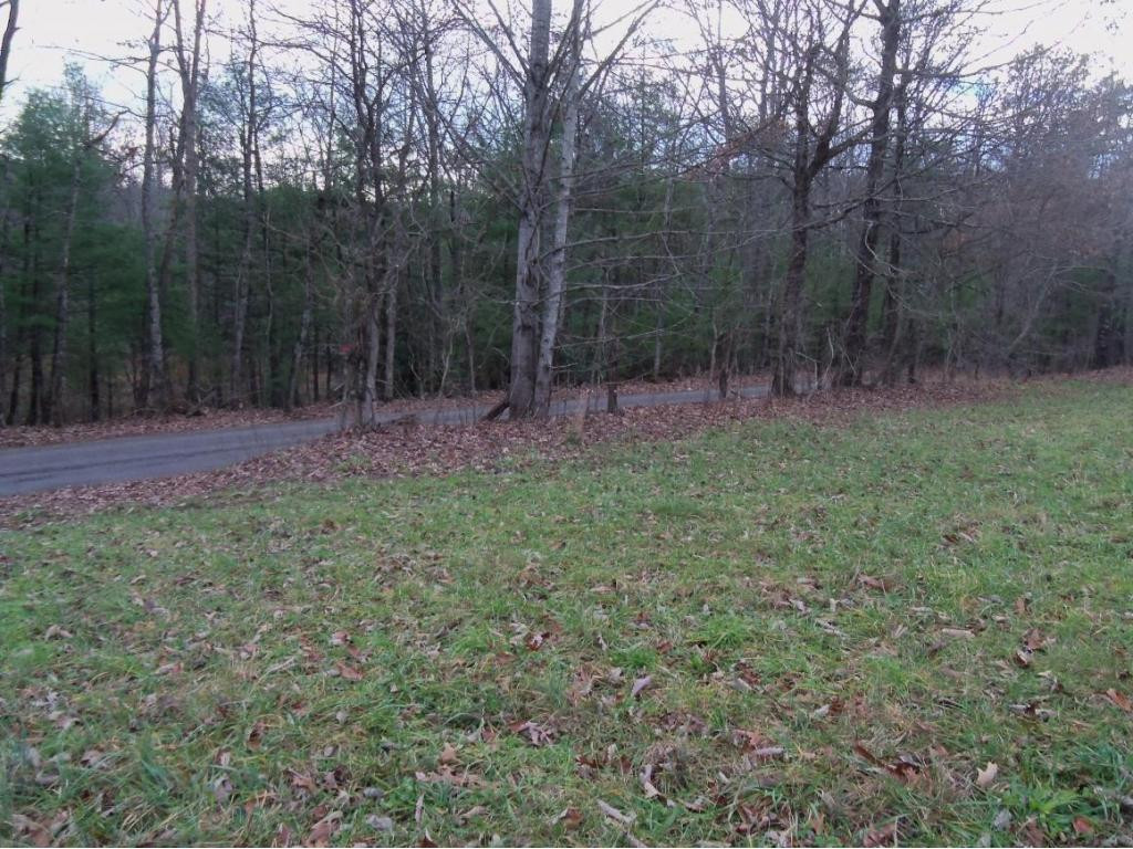 -tbd Anest Road Afton, TN 37616 - Photo 5 of 7 Photo 5