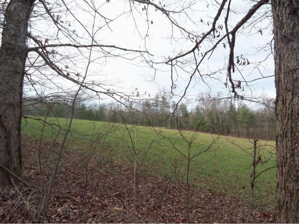 -tbd Anest Road Afton, TN 37616 - Photo 7 of 7 Photo 7
