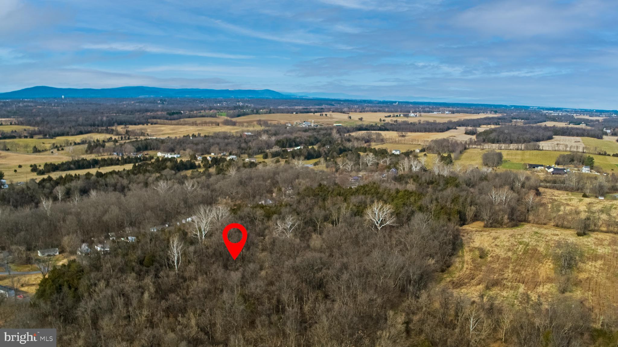 8103 Avis Mill Road Williamsport, MD 21795 - Photo 12 of 34 a view of a city