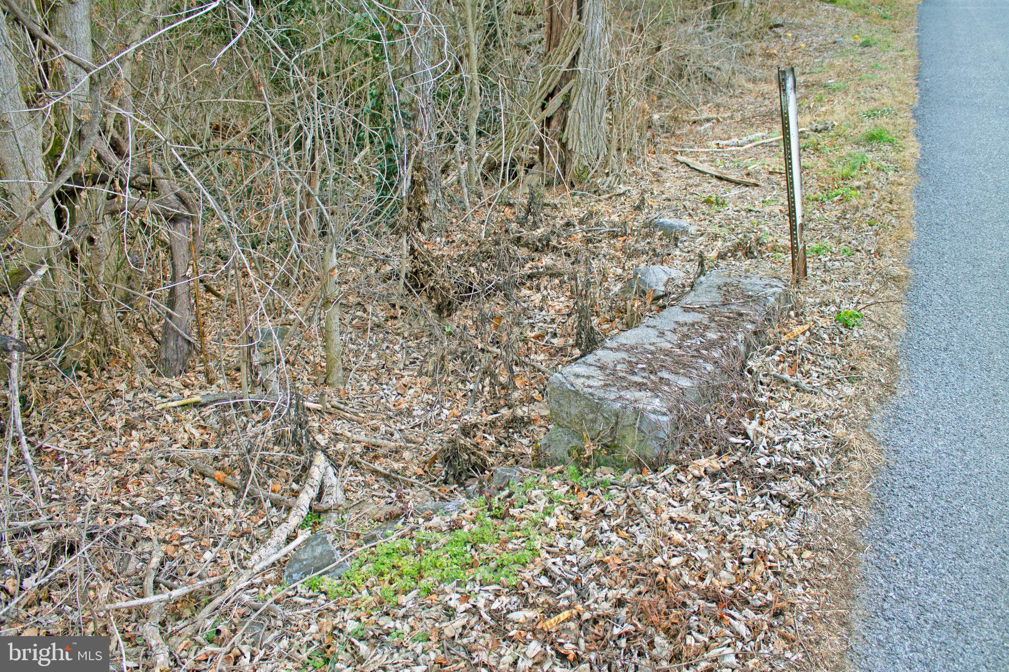 8103 Avis Mill Road Williamsport, MD 21795 - Photo 26 of 34