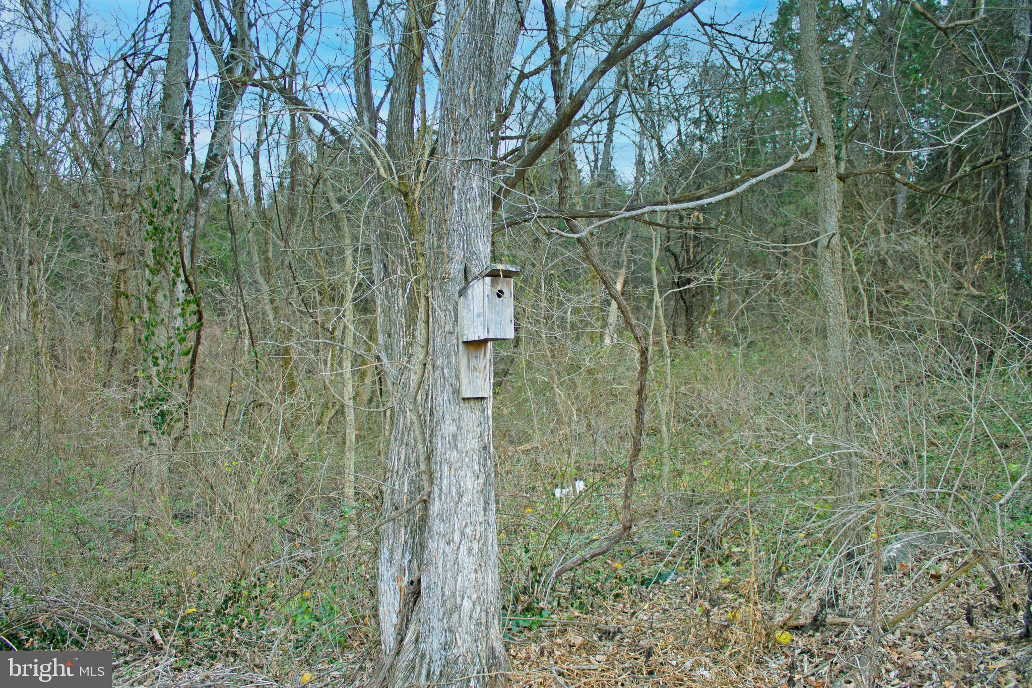 8103 Avis Mill Road Williamsport, MD 21795 - Photo 27 of 34 a bathroom with a shower and a sink