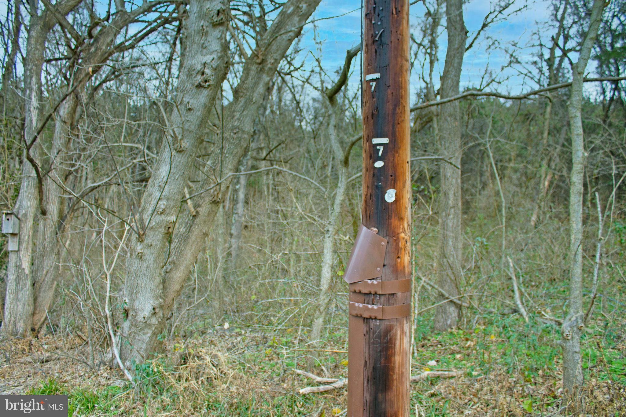 8103 Avis Mill Road Williamsport, MD 21795 - Photo 28 of 34 a picture of street view