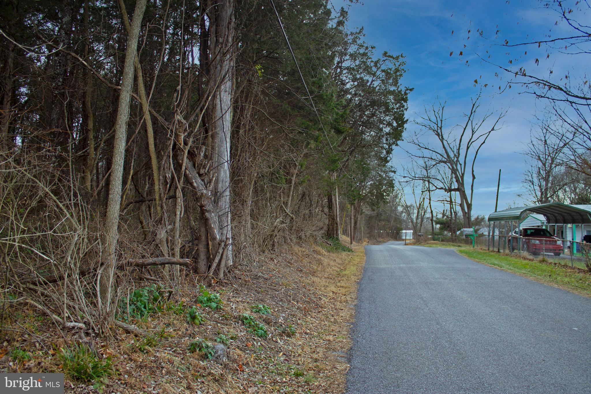 8103 Avis Mill Road Williamsport, MD 21795 - Photo 29 of 34 a view of a backyard with large trees