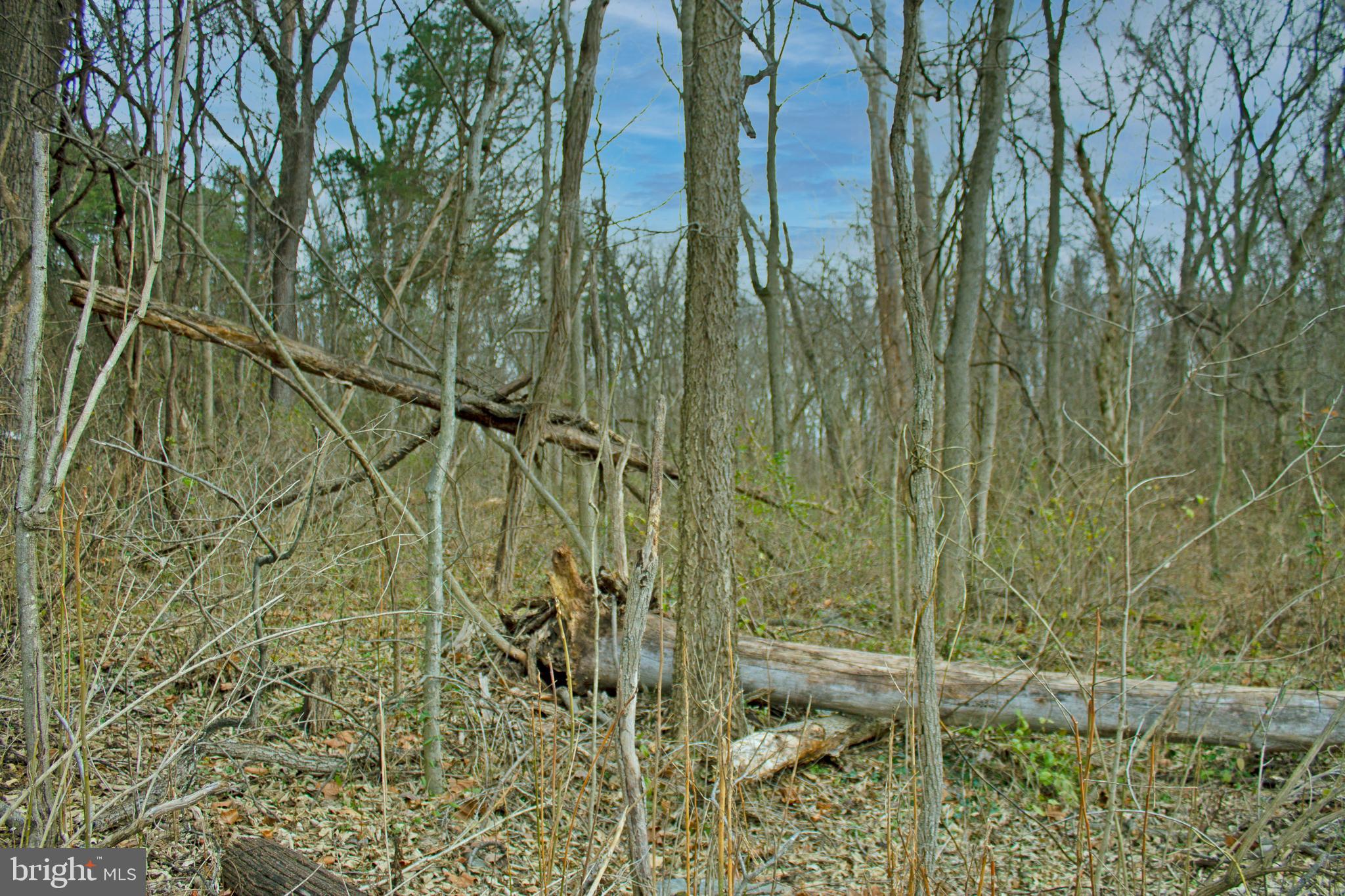 8103 Avis Mill Road Williamsport, MD 21795 - Photo 31 of 34 a bathroom with a shower