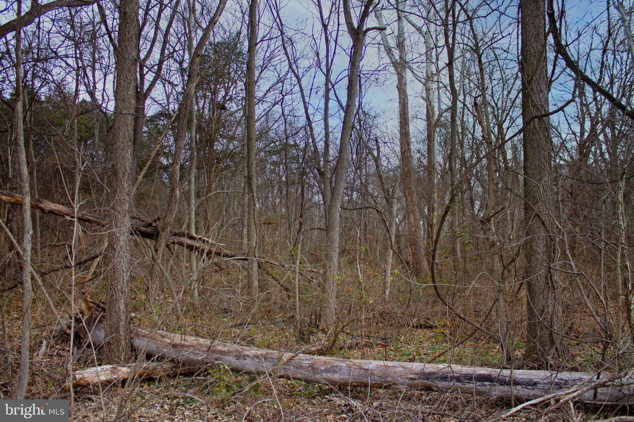 8103 Avis Mill Road Williamsport, MD 21795 - Photo 33 of 34 a view of a backyard of the house