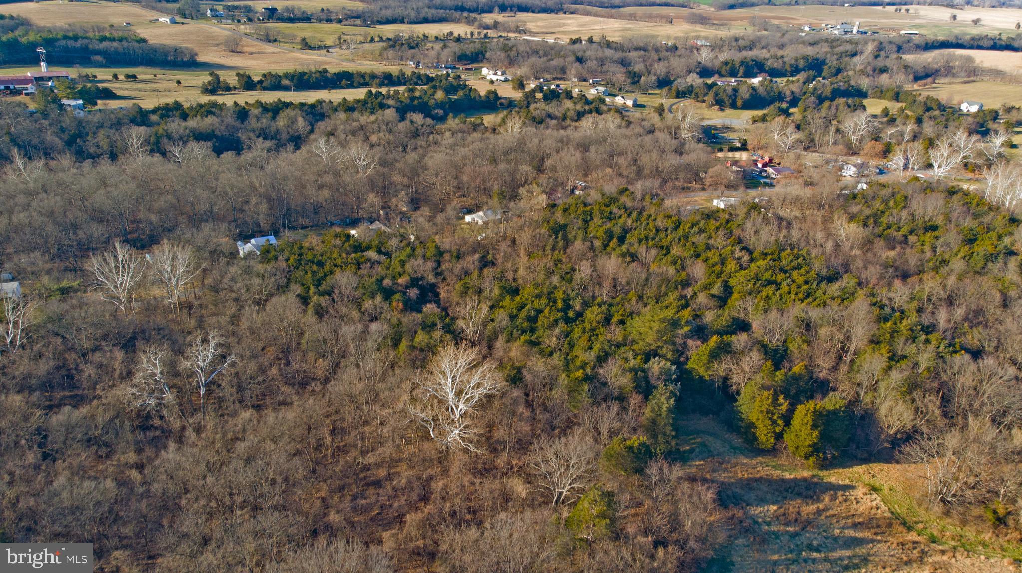 8103 Avis Mill Road Williamsport, MD 21795 - Photo 34 of 34 a view of a houses with a yard