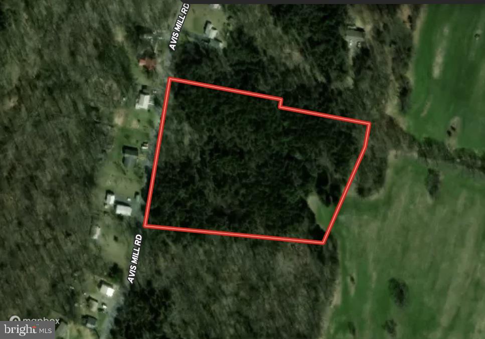 8103 Avis Mill Road Williamsport, MD 21795 - Photo 4 of 34 a view of a backyard