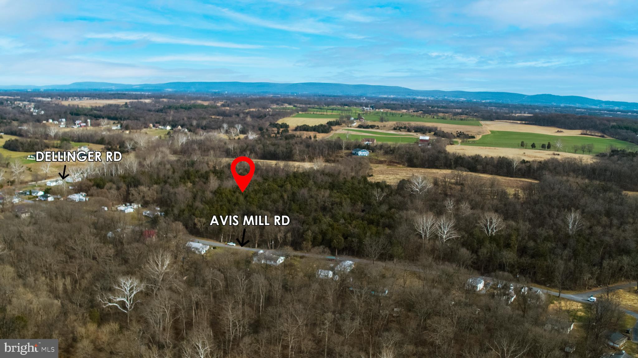 8103 Avis Mill Road Williamsport, MD 21795 - Photo 8 of 34 a view of a city