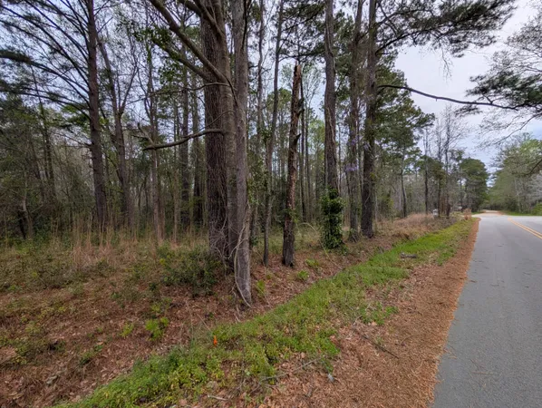 $99,000 | 10218 Old Georgetown Road, McClellanville, SC 29458