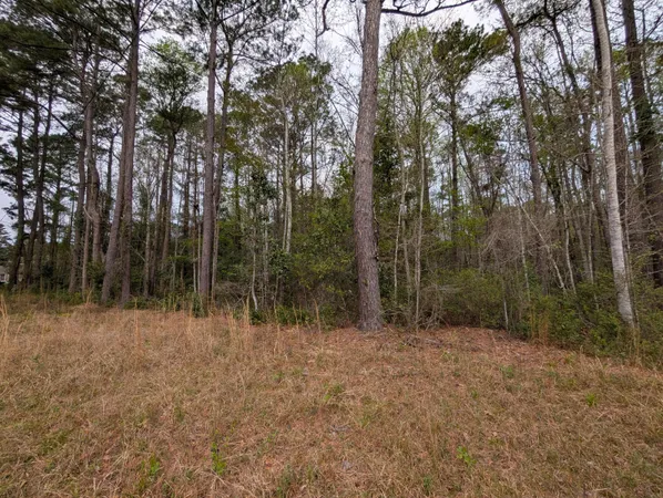 $99,000 | 10218 Old Georgetown Road, McClellanville, SC 29458