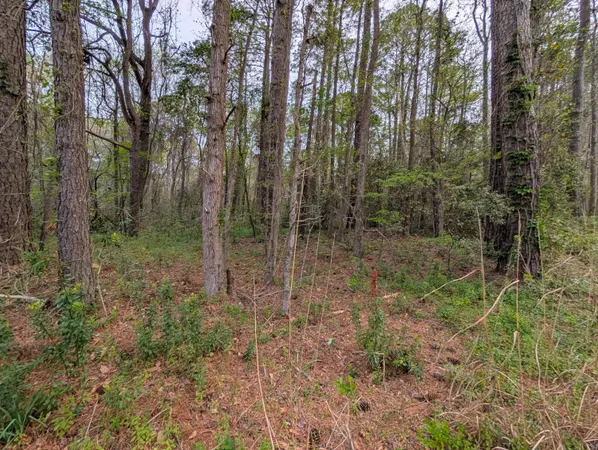 $99,000 | 10218 Old Georgetown Road, McClellanville, SC 29458