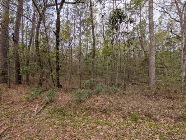 $99,000 | 10218 Old Georgetown Road, McClellanville, SC 29458