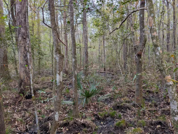 $99,000 | 10218 Old Georgetown Road, McClellanville, SC 29458