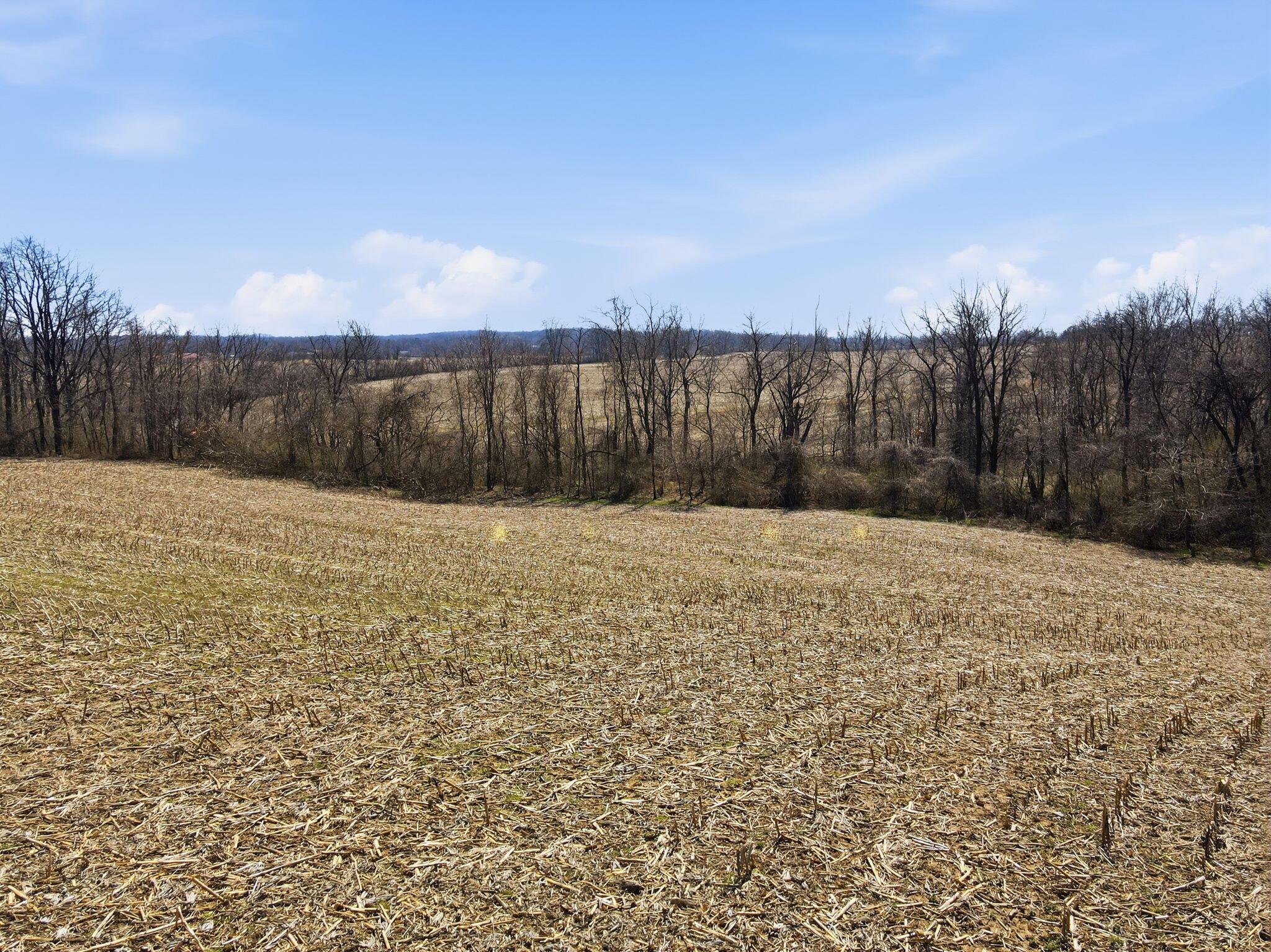0 Justus Road Southwest Amanda, OH 43102 - Photo 14 of 32 Justus Rd SW 14