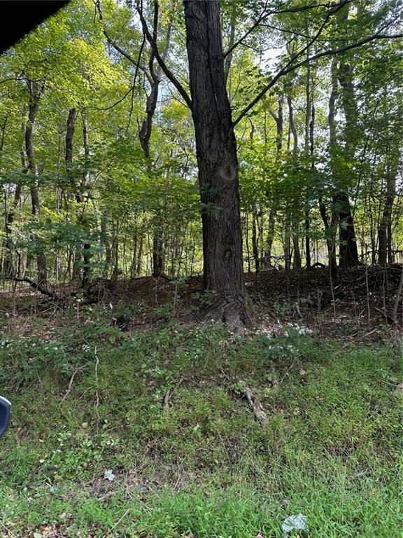 0 State Rte 1025 Carmichaels, PA 15320 - Photo 6 of 6 Gallery Image 6