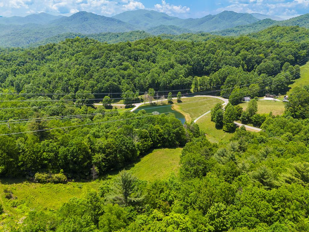 1651 Winding Stairs Road Topton, NC 28781 - Photo 74 of 100