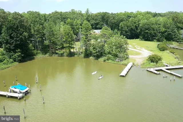 a view of a lake with a yard and large trees