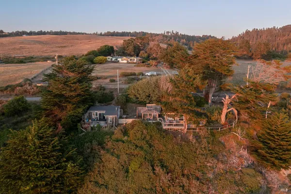 a view of a dining room with furniture and a potted plant