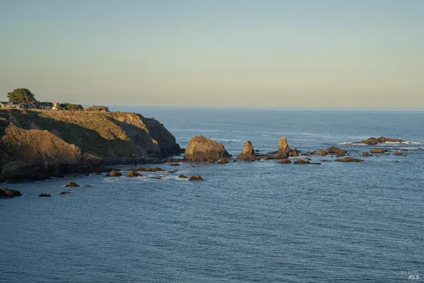 a view of a backyard with plants and a patio