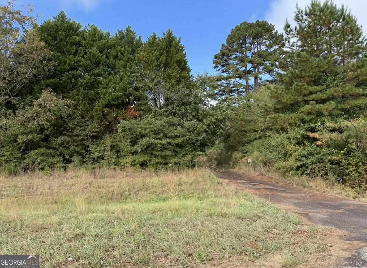 3238 South Ola Road Locust Grove, GA 30248 - Photo 1 of 2