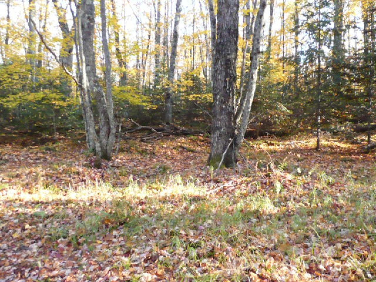 Near Twin Lake Road Conover, WI 54519 - Photo 16 of 16 Gallery Image 16