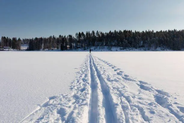 $150,000 | 7701 Lake John Drive, Annandale, MN 55302