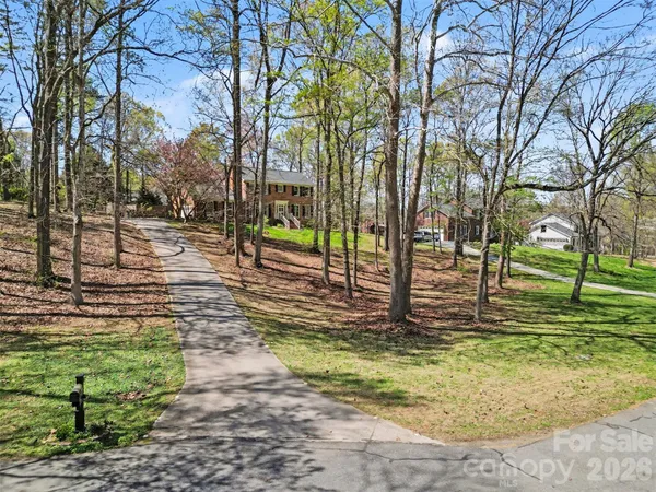 a view of a yard with large trees
