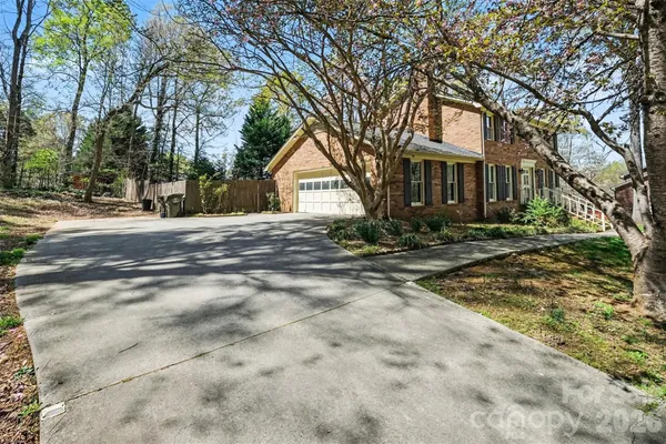 a view of a yard with a large tree