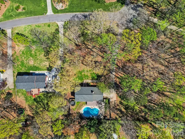 a view of a garden with plants