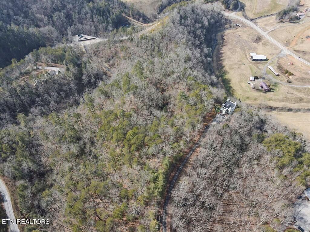 Birds Creek Road Sevierville, TN 37876 - Photo 12 of 13 12
