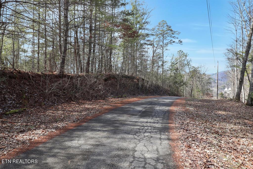 Birds Creek Road Sevierville, TN 37876 - Photo 2 of 13 2