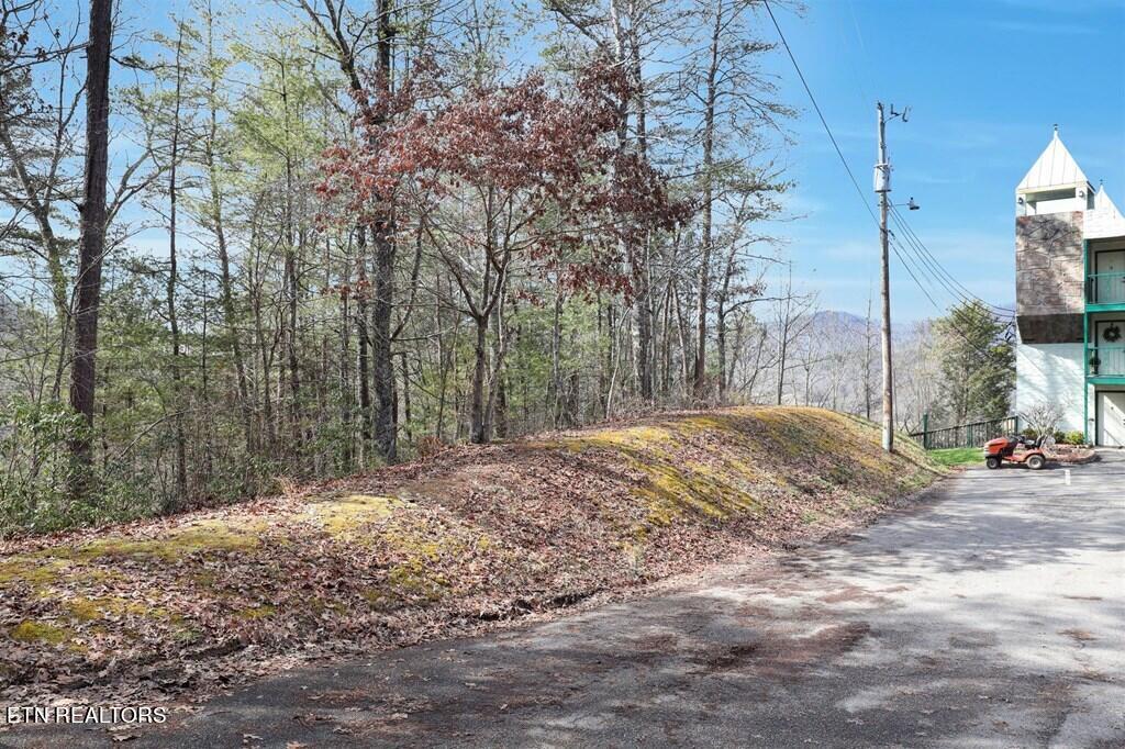 Birds Creek Road Sevierville, TN 37876 - Photo 3 of 13 3