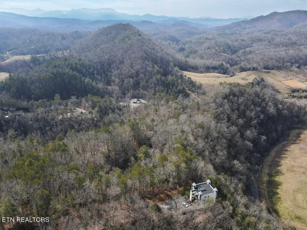 Birds Creek Road Sevierville, TN 37876 - Photo 4 of 13 4