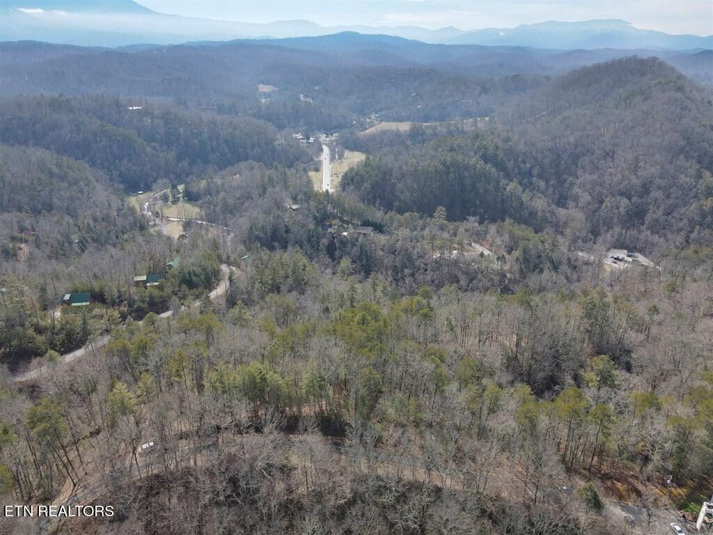Birds Creek Road Sevierville, TN 37876 - Photo 5 of 13 5