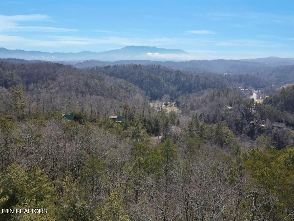 Birds Creek Road Sevierville, TN 37876 - Photo 6 of 13 6