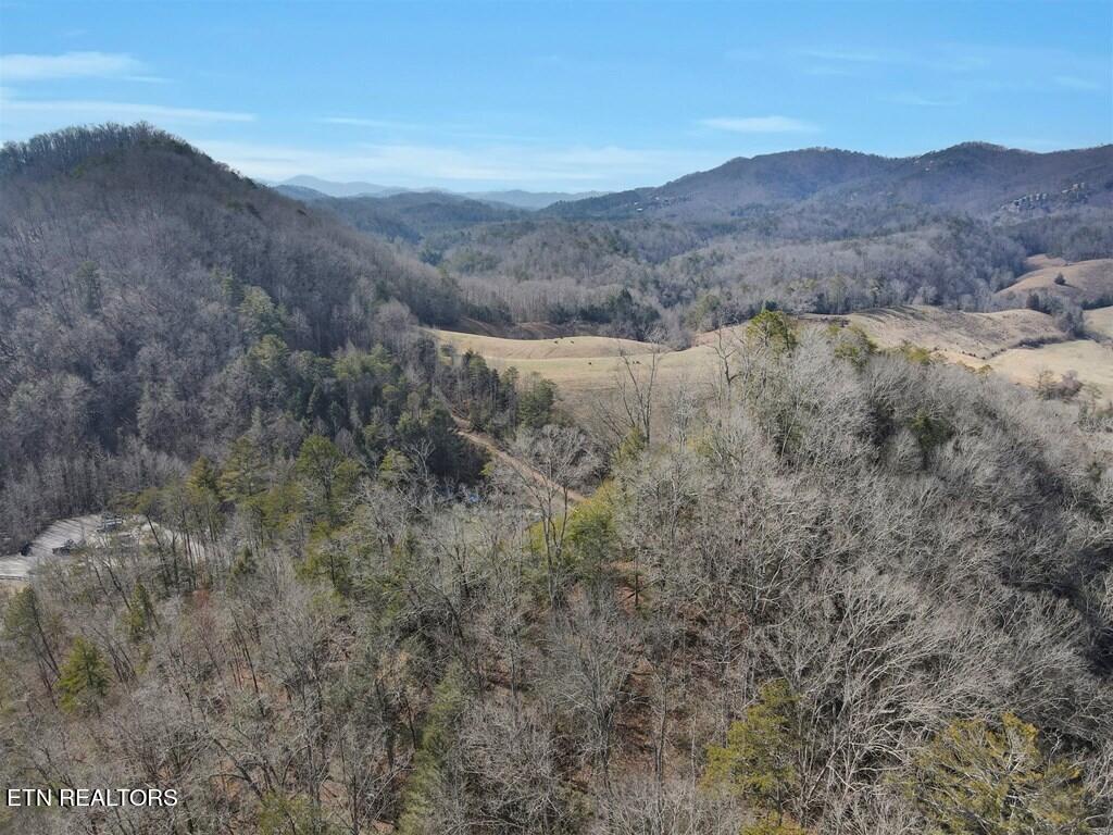 Birds Creek Road Sevierville, TN 37876 - Photo 7 of 13 7