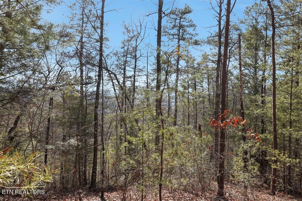 Birds Creek Road Sevierville, TN 37876 - Photo 8 of 13 8