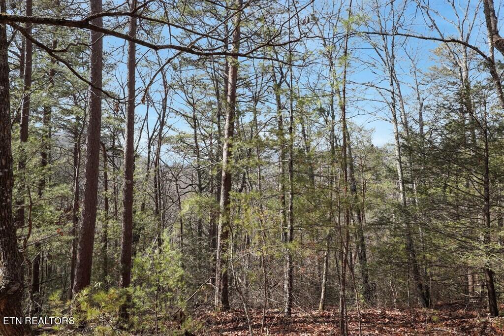 Birds Creek Road Sevierville, TN 37876 - Photo 9 of 13 9