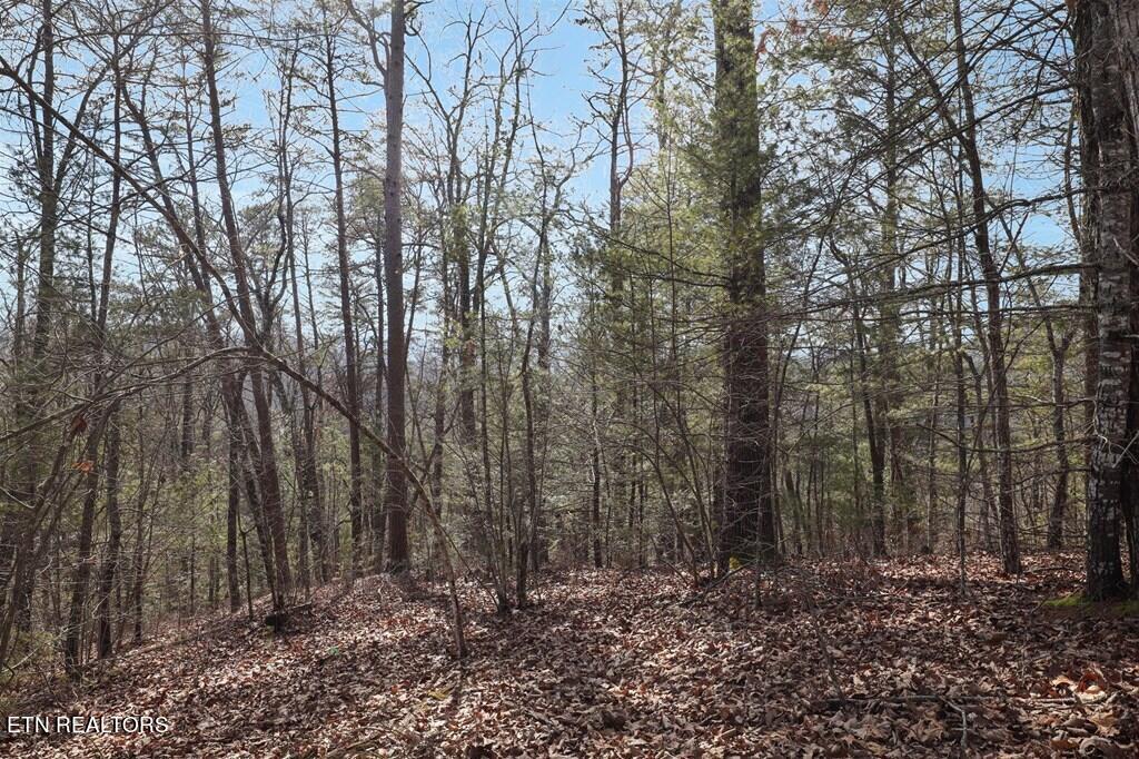 Birds Creek Road Sevierville, TN 37876 - Photo 10 of 13 10