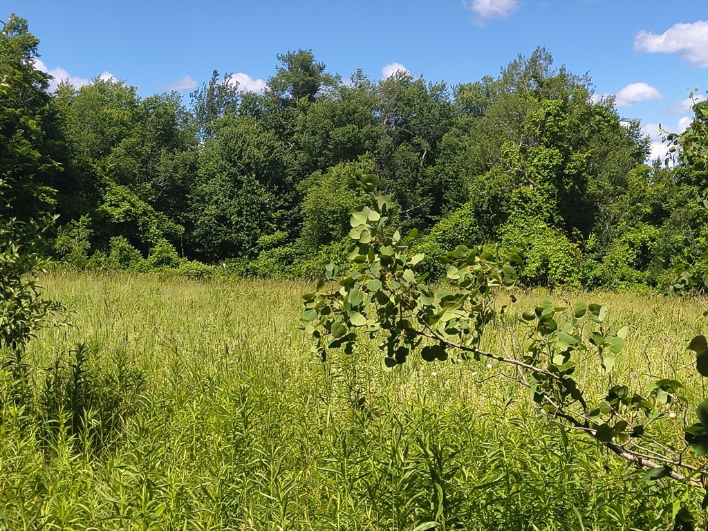 Lot 4 Holcomb Road Chester, MA 01011 - Photo 2 of 4