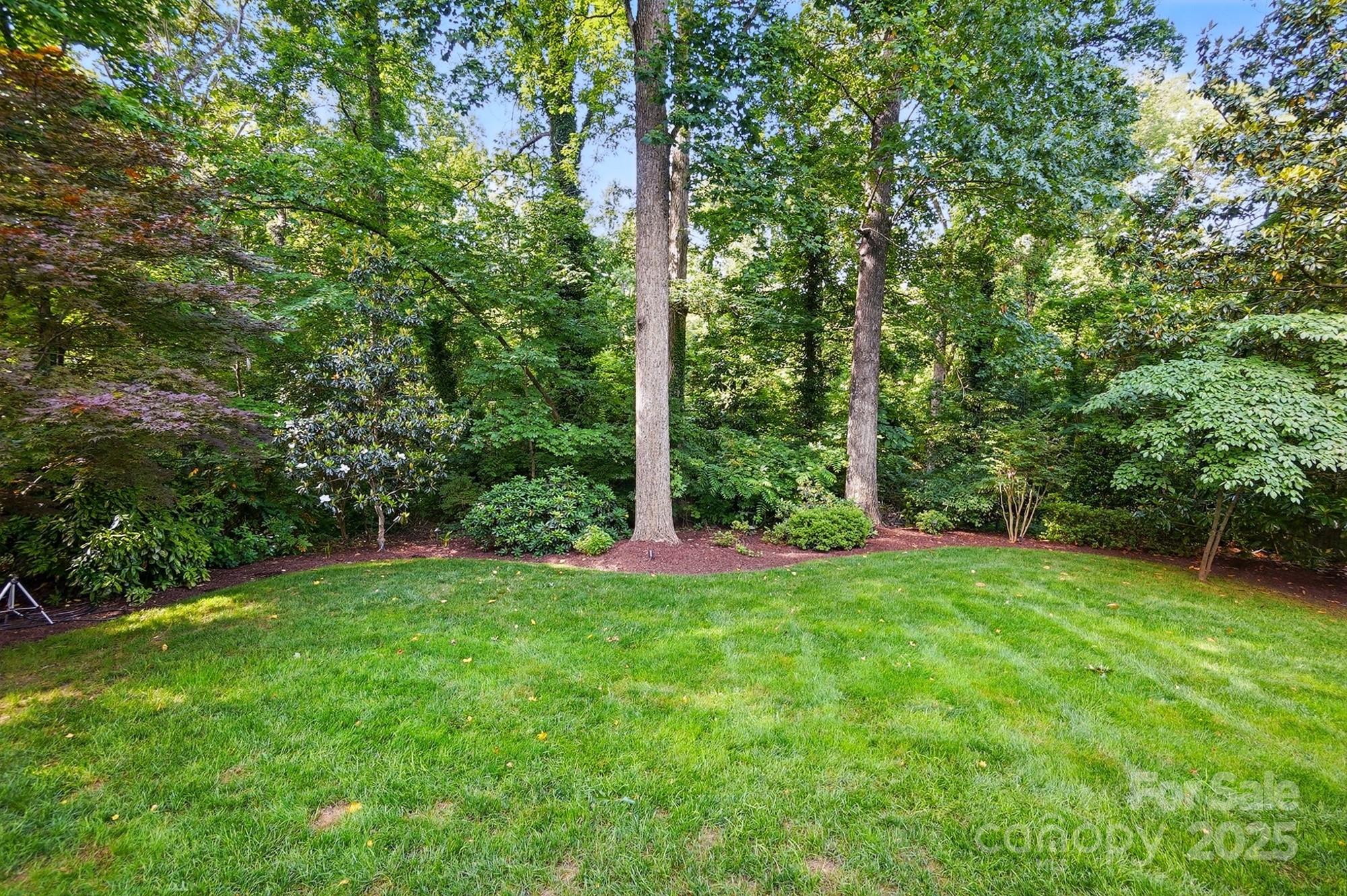 2025 Sagamore Road Charlotte, NC 28209 - Photo 44 of 48 Gallery Image 44