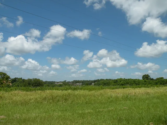 $39,900 | 30 Sandra Parker Drive, Lucedale, MS 39452