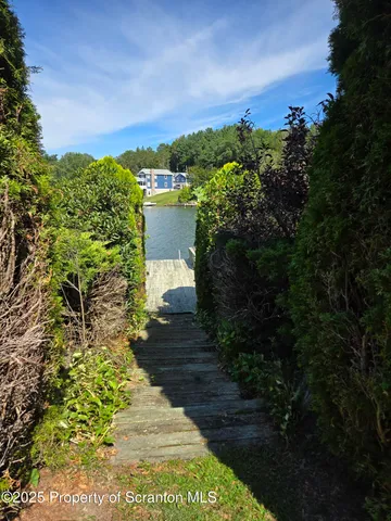 a view of a back yard