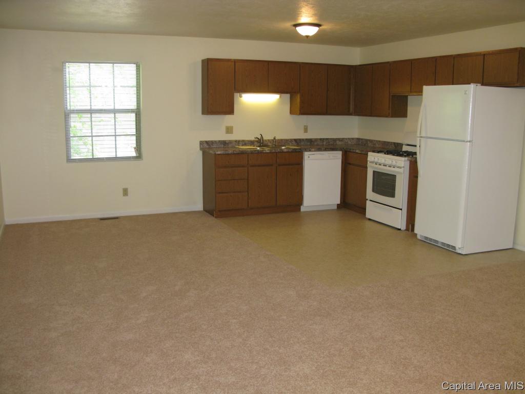 1529 Maureen Court Springfield, IL 62702 - Photo 4 of 14