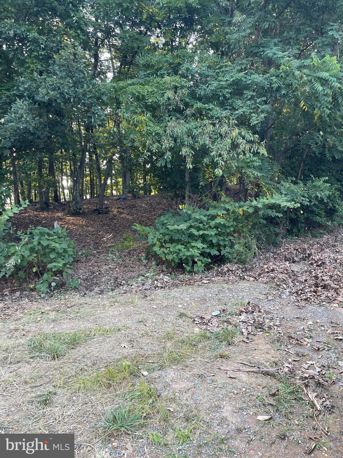 0 Johnsons Mill Road Berkeley Springs, WV 25411 - Photo 8 of 11