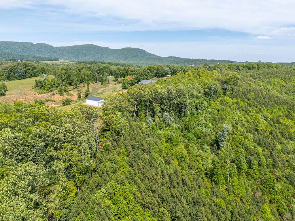 Tbd Ahart Ridge Road, Unit 58 60 61 Ararat, VA 24053 - Photo 43 of 54 Gallery Image 43