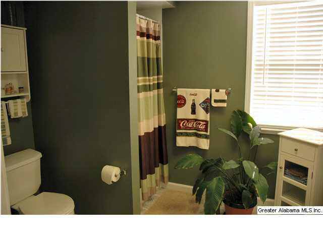 155 Peaceful Lane Springville, AL 35146 - Photo 20 of 27